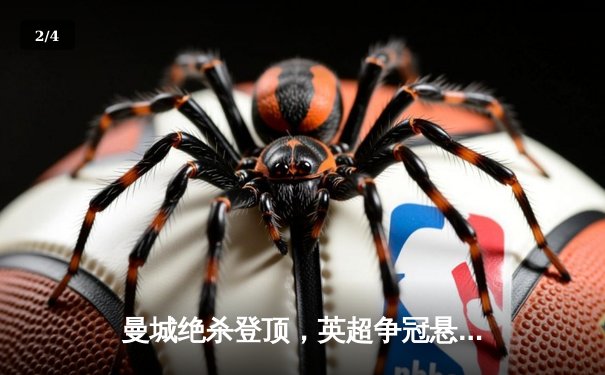 曼城绝杀登顶，英超争冠悬念延续至末轮 - 2